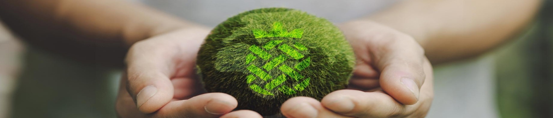 The Rising Star of Textile Materials-UKL Pineapple Leaves Fiber(PALF)